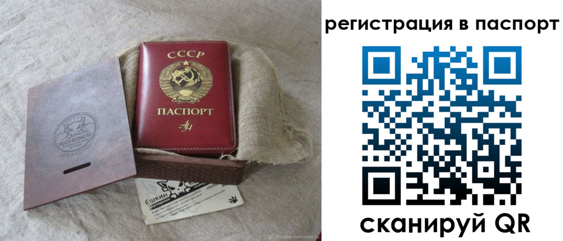 где прописаться в Асино